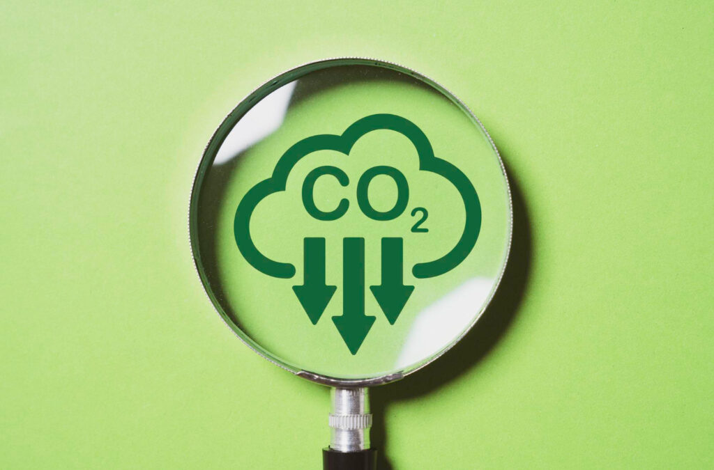how to become a carbon neutral business